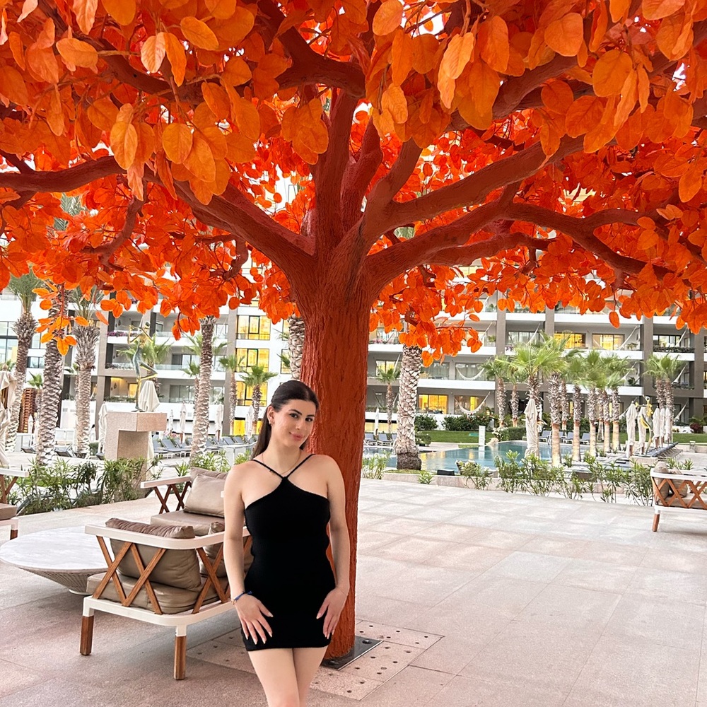 SHEIN Black Mini Dress